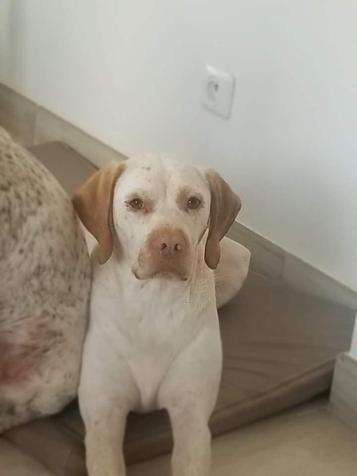 JavaDeLaLandeDeBourberouge