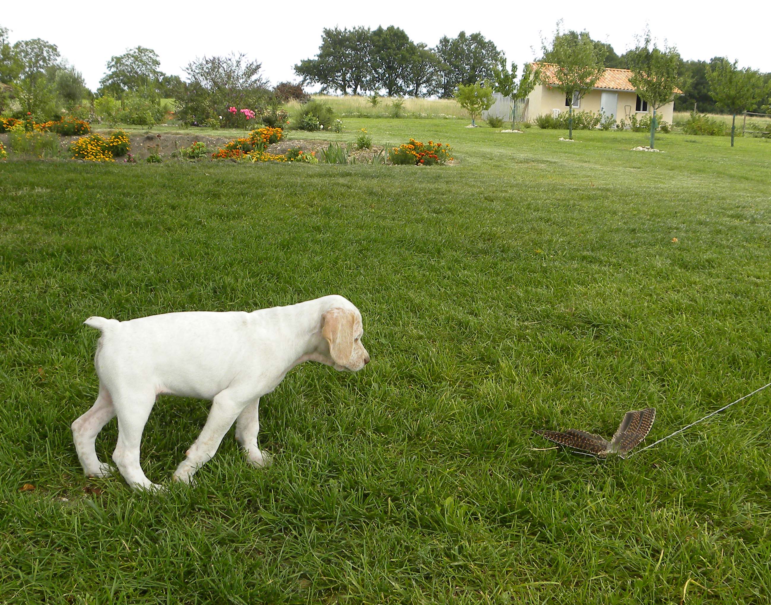 Jazz du Fief d'Epsom