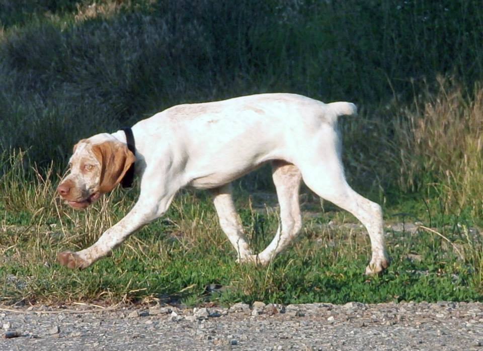 Jeanne d'Arc du Pech du Cayrol