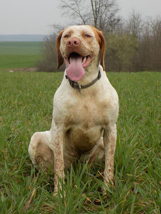 Jeanne d'Arc du Pech du Cayrol