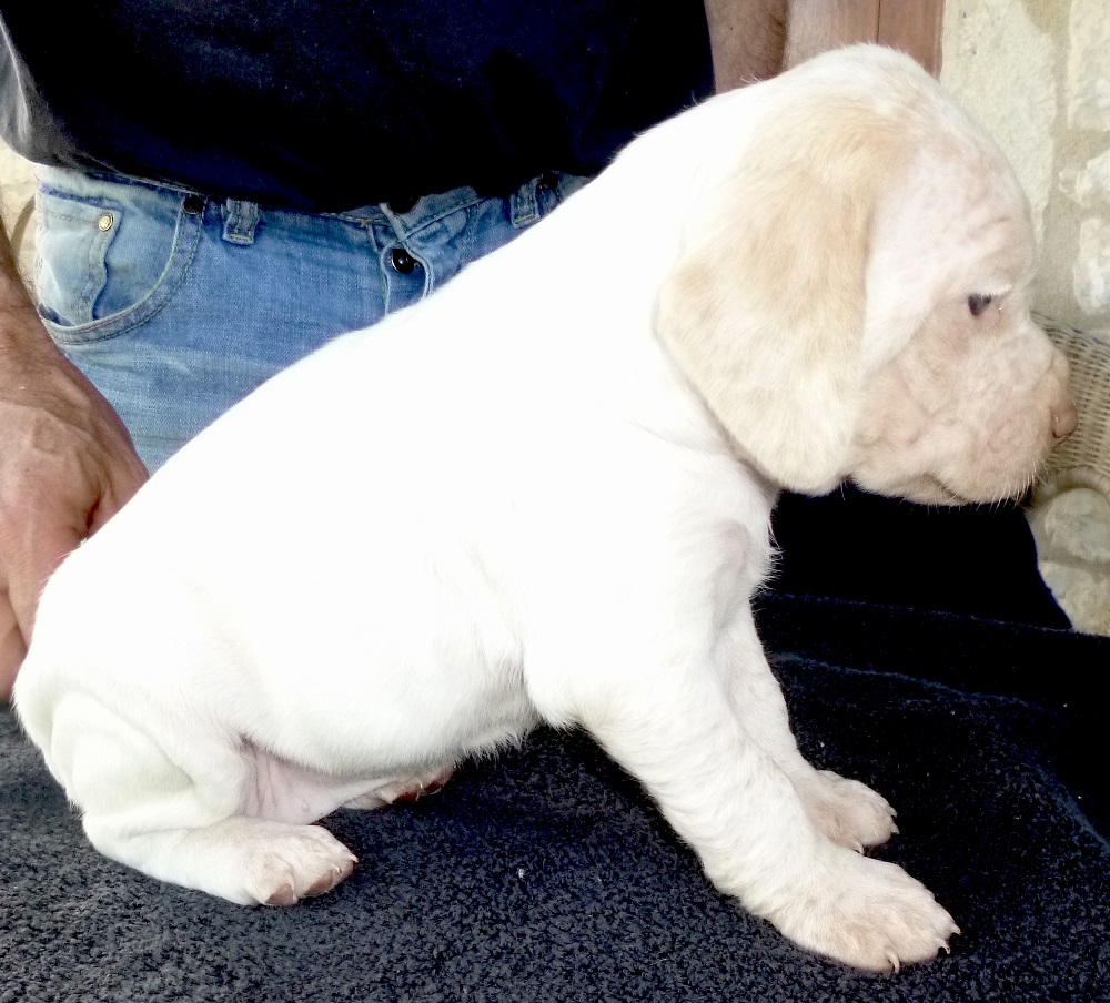 Jeanne d'Arc du Pech du Cayrol