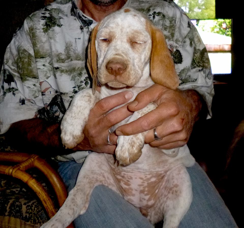 Jeanne d'Arc du Pech du Cayrol