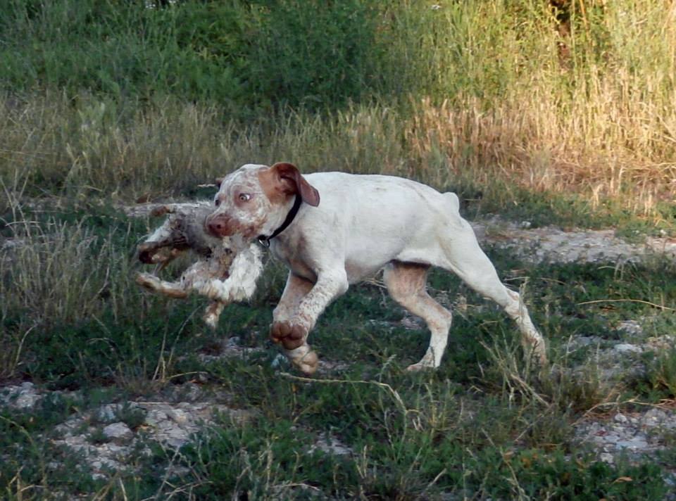 Jeanne d'Arc du Pech du Cayrol