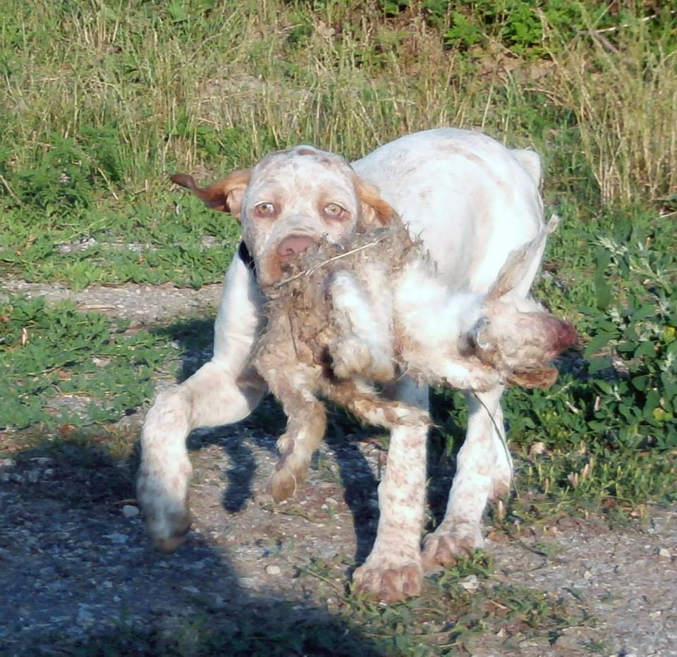 Jeanne d'Arc du Pech du Cayrol