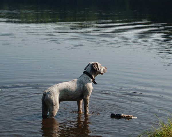 Jonesie Chasseur d'Aspen Ridge