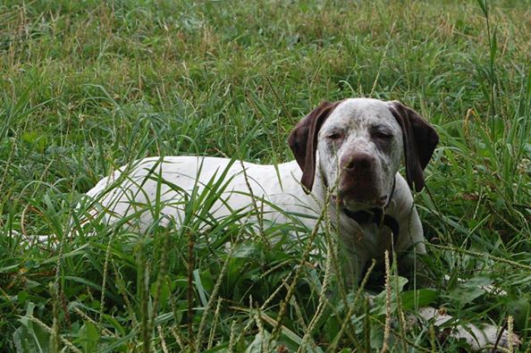 Jonesie Chasseur d'Aspen Ridge