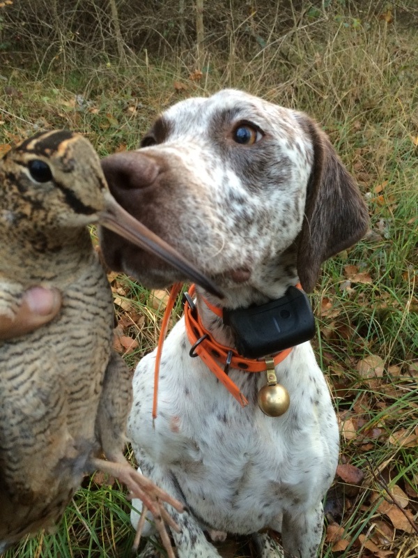 Jumper de la Belle Longère