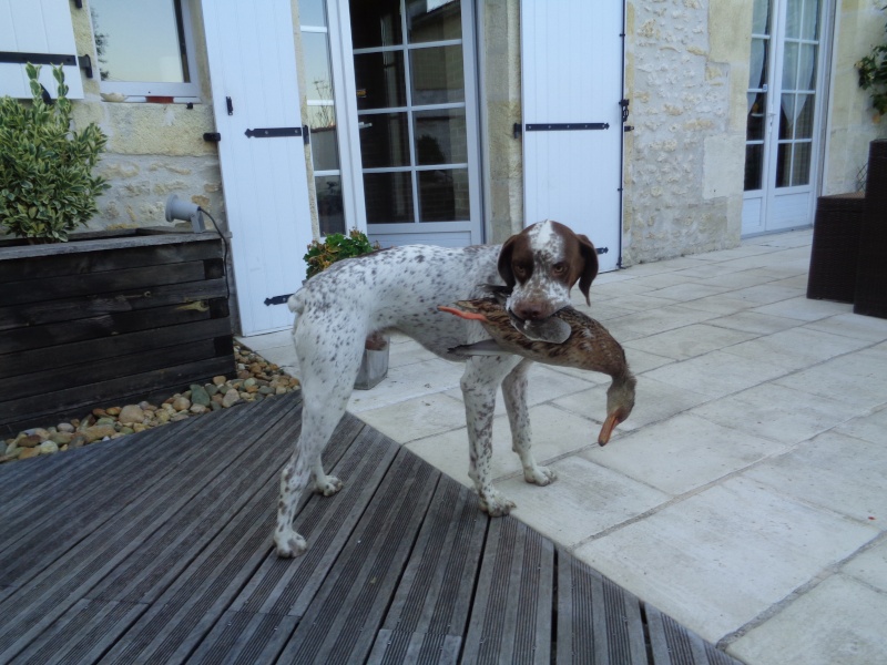 JustForMe du Pech du Cayrol