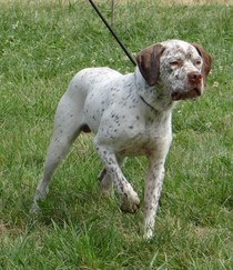 JustForMe du Pech du Cayrol