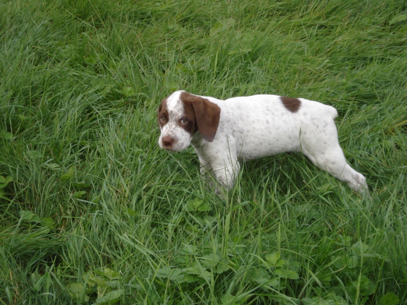 JustForMe du Pech du Cayrol