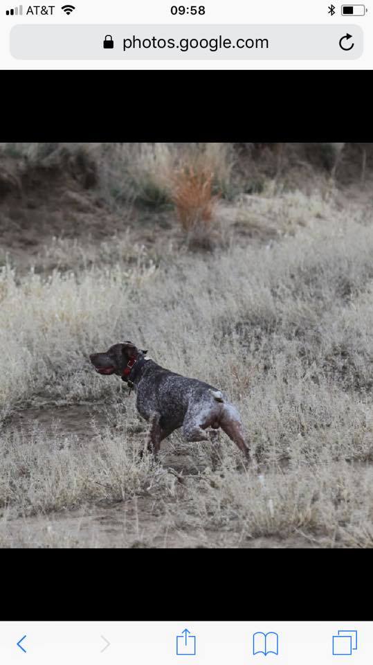 Spectrolite's Flying Finn