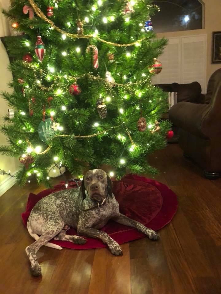 Spectrolite's Flying Finn