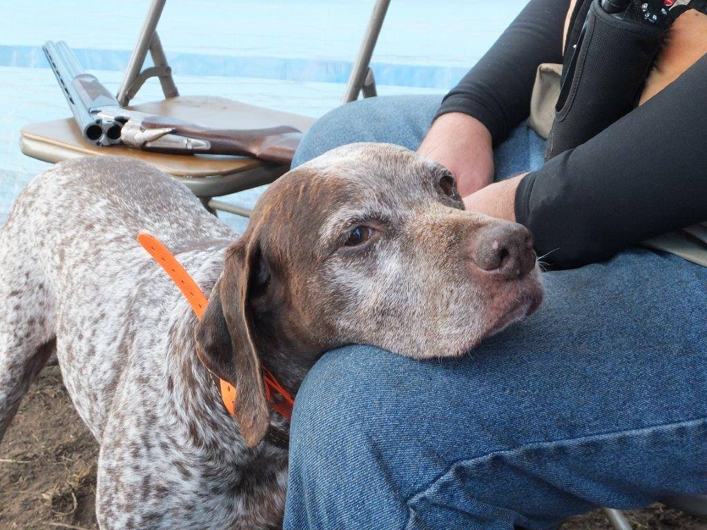 Spectrolite's Flying Finn