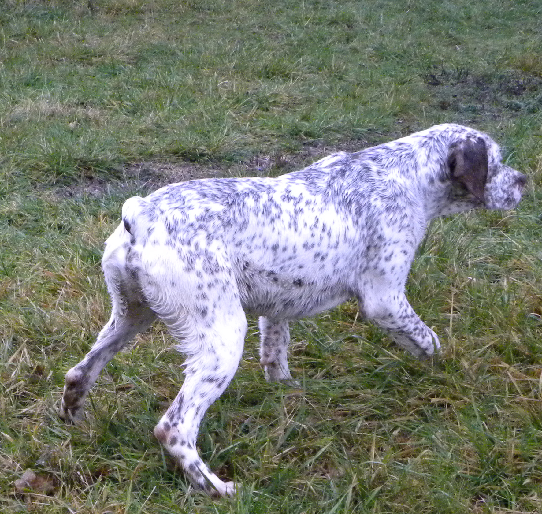 Largo du Fief d'Epsom