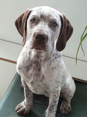 Leantine de la Croix Saint Loup