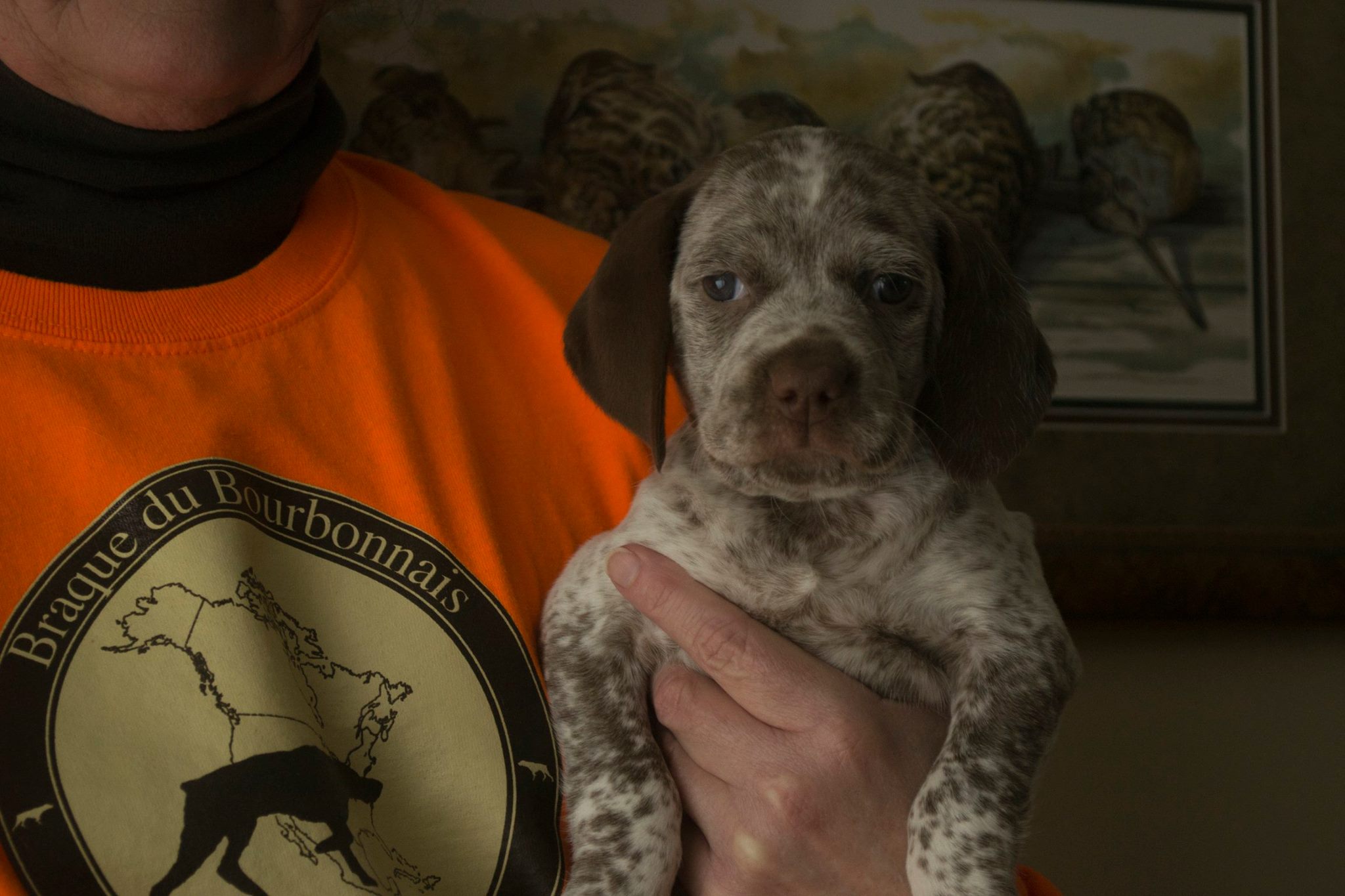 Lucy Chasseur d'Aspen Ridge