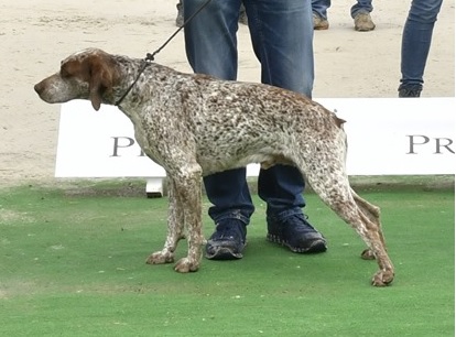 Lussac du Fief d'Epsom