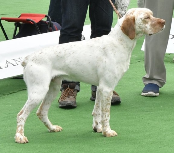 Lutin de la Pelade de Caco