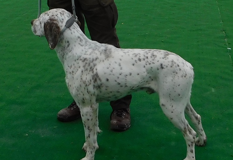 MascotDesPortesDeLAvesnois