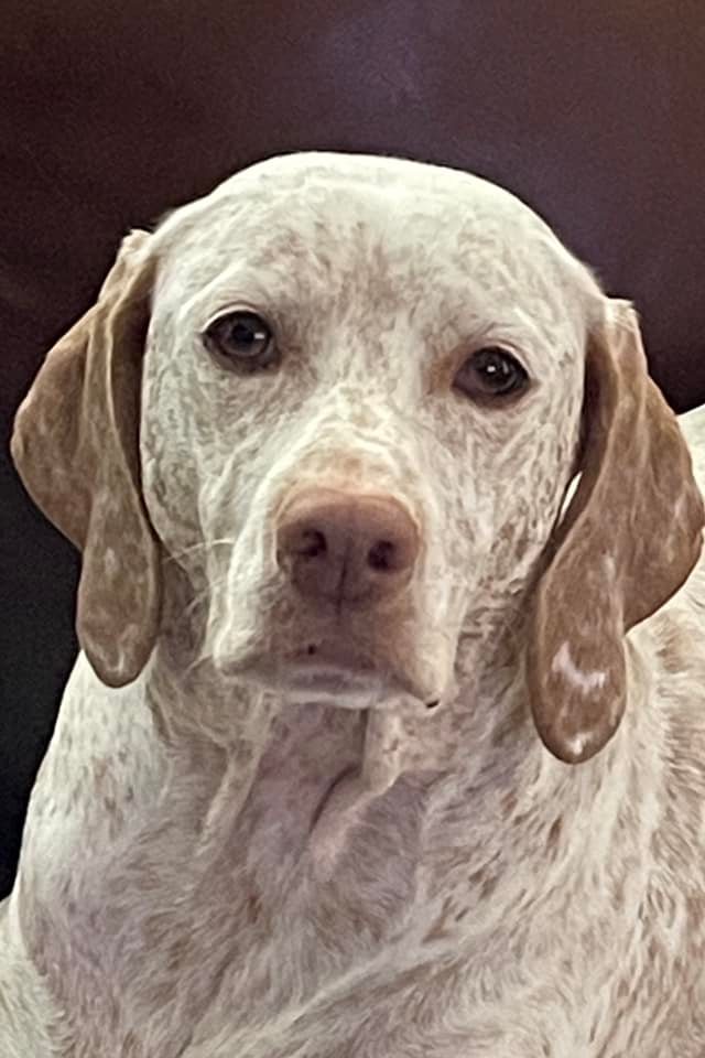 RufnitQueenAdi