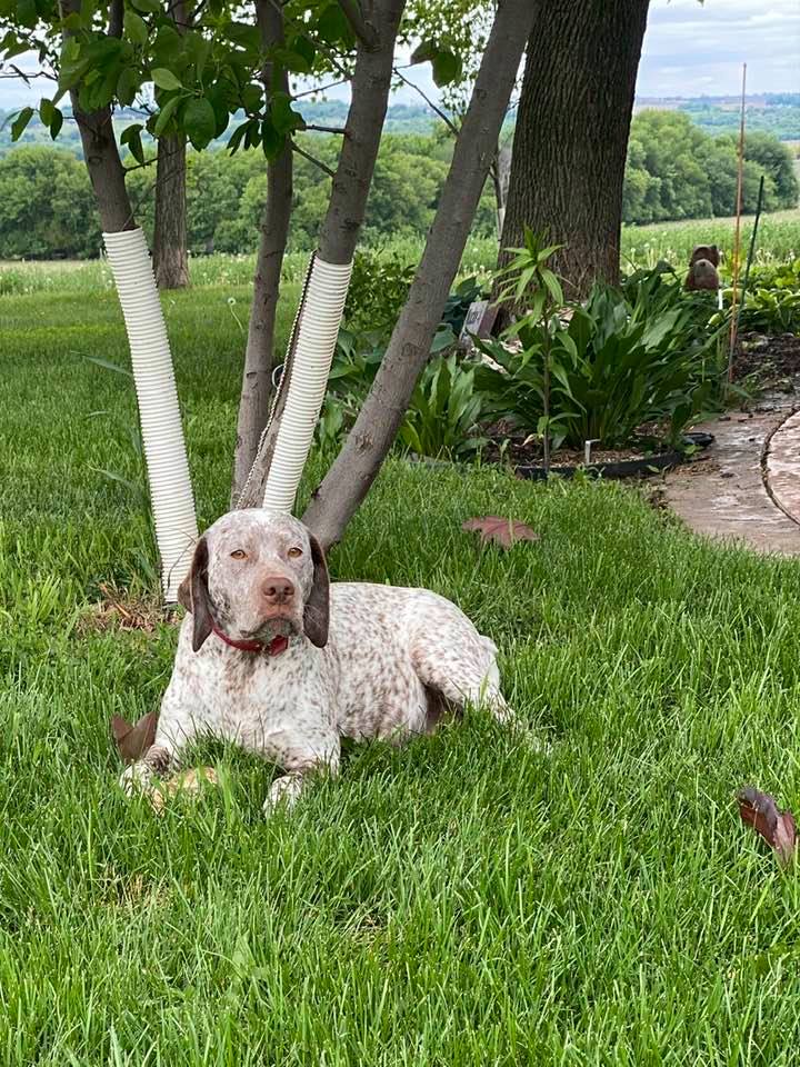 Chateaus H Ellie Mae