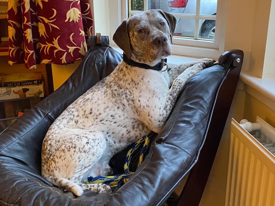 Rodin des Cimes d'Or