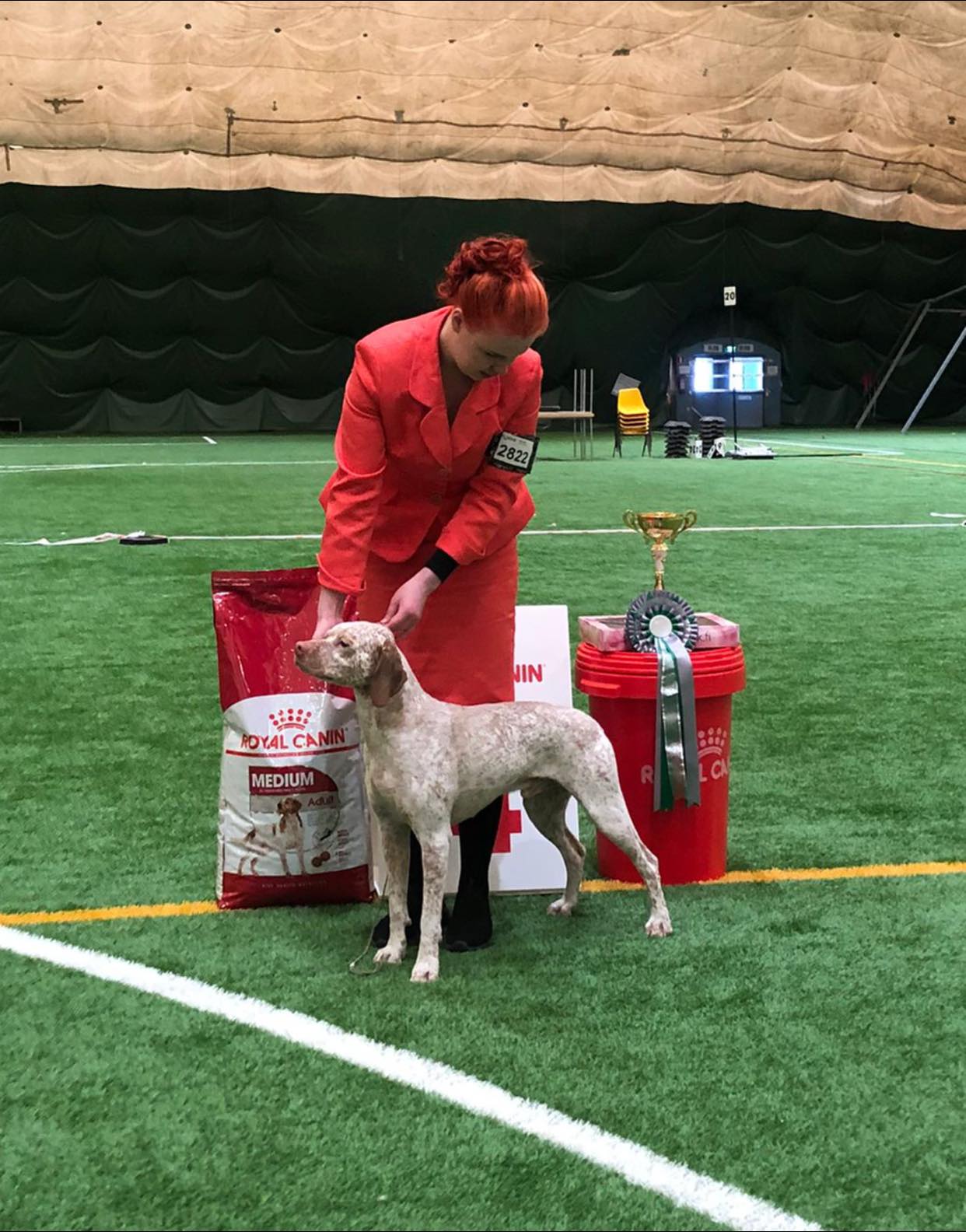 Gizmo Mažas Brolis alias Izmo