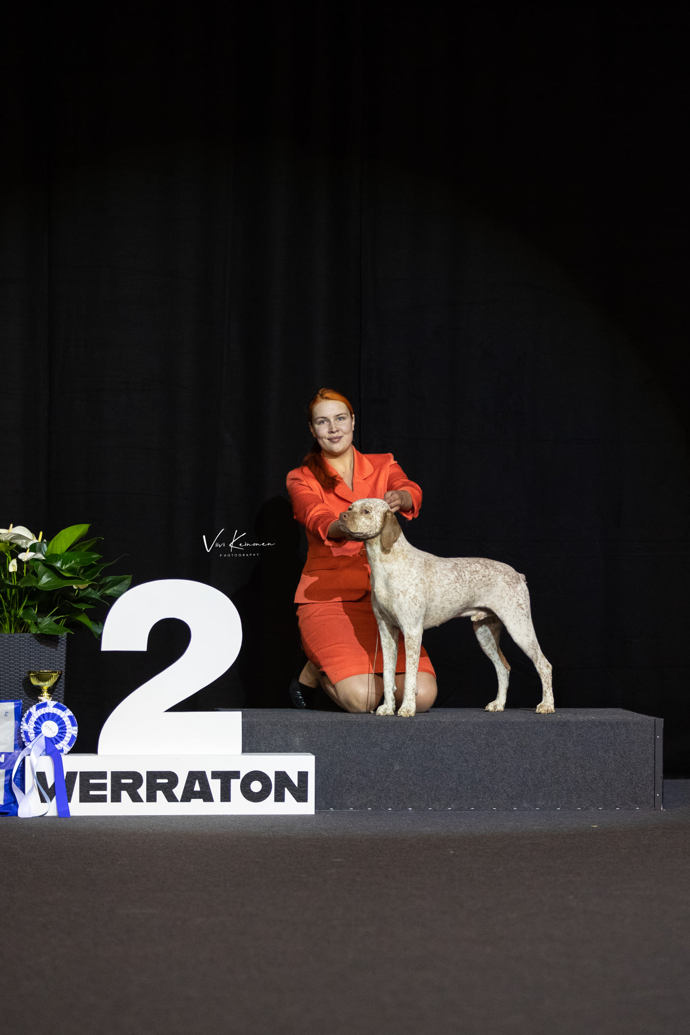 Gizmo Mažas Brolis alias Izmo