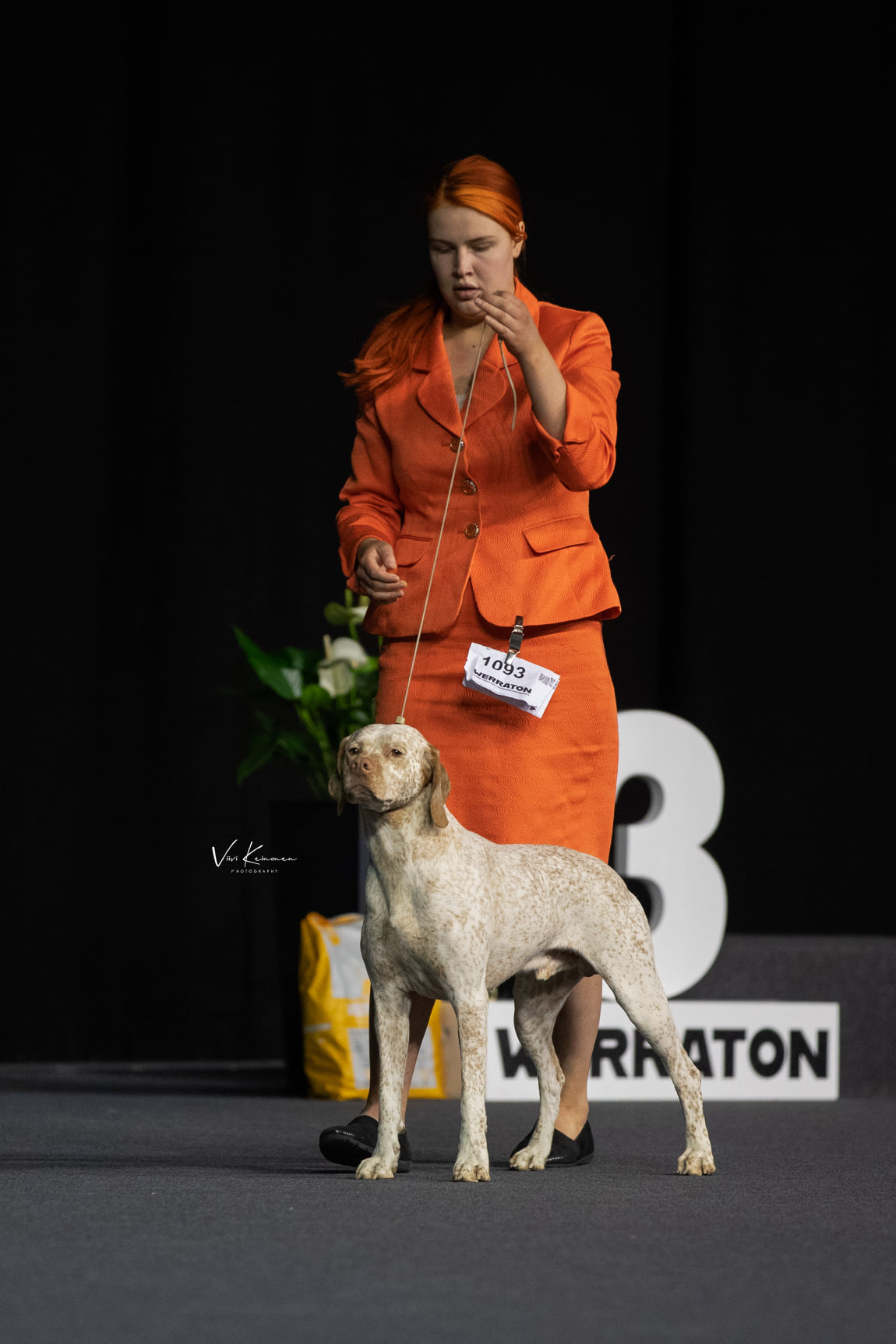 Gizmo Mažas Brolis alias Izmo