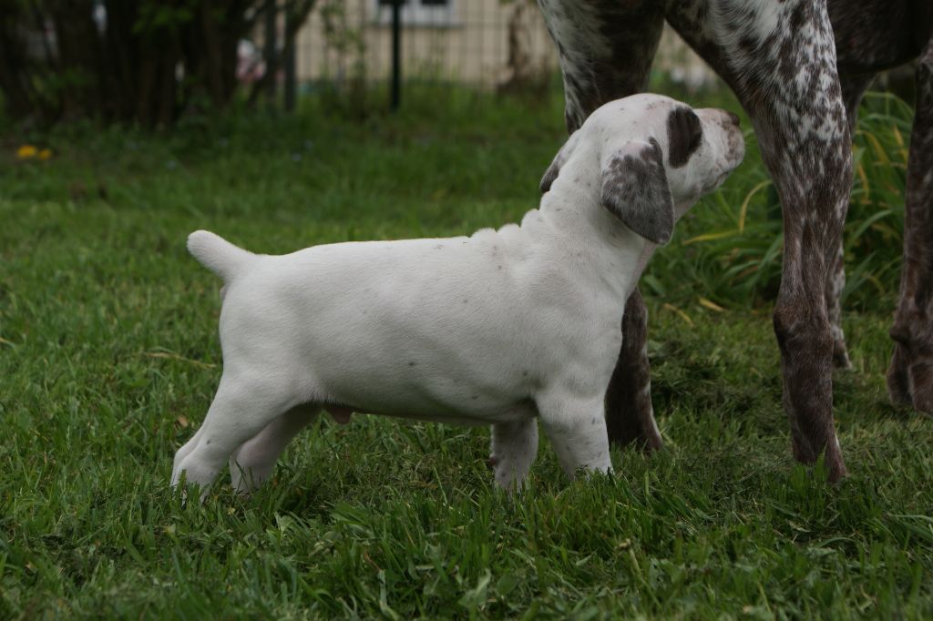 ONeilDuBoisBecassierSolognot