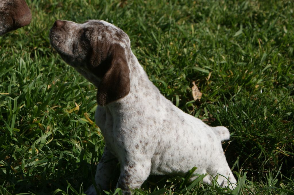 OlgaDuBoisBecassierSolognot