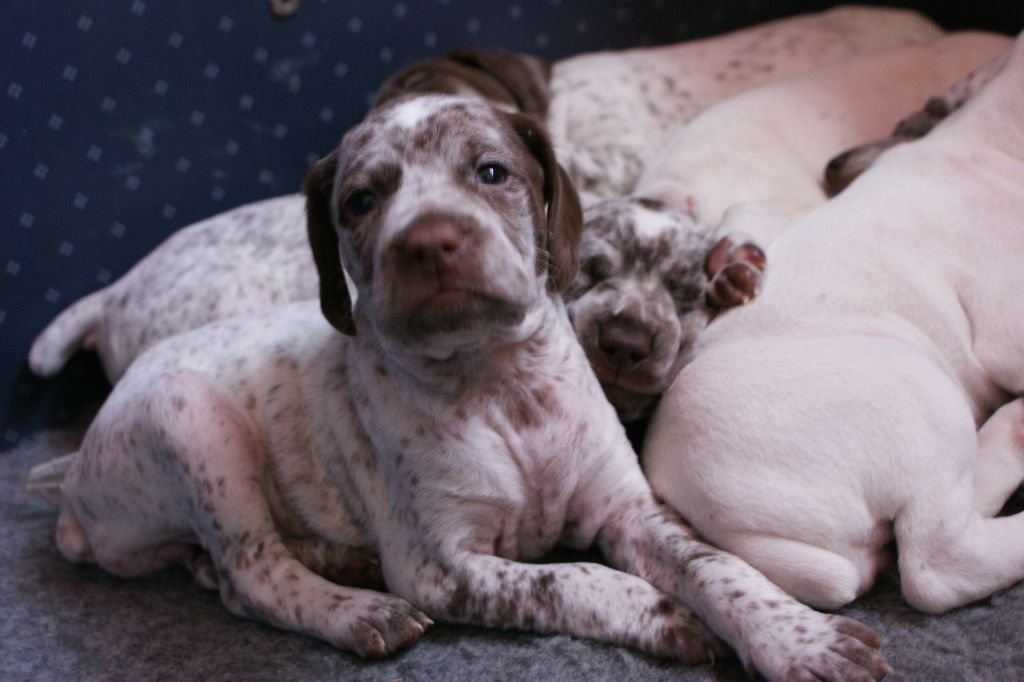 OlgaDuBoisBecassierSolognot