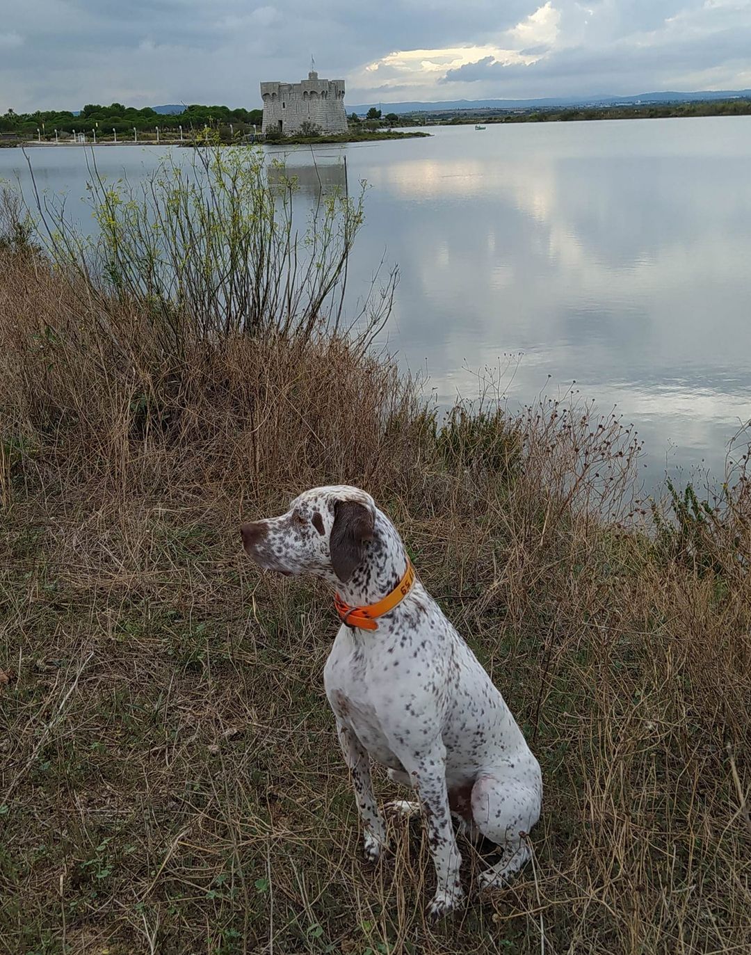 OscarDuBecassierChassant