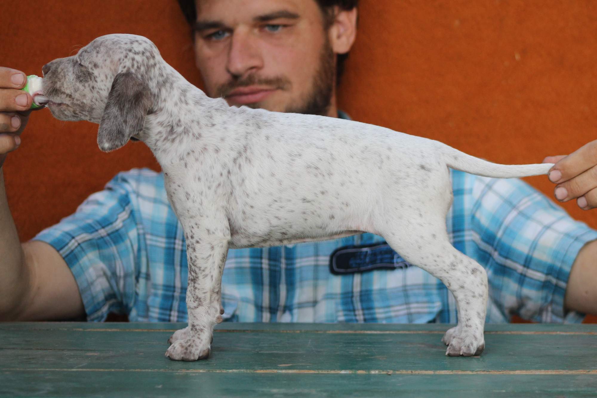 AbsolutelyFabulousVardarianna