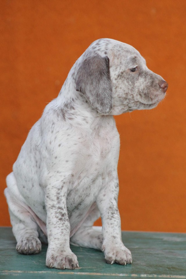 AbsolutelyFabulousVardarianna