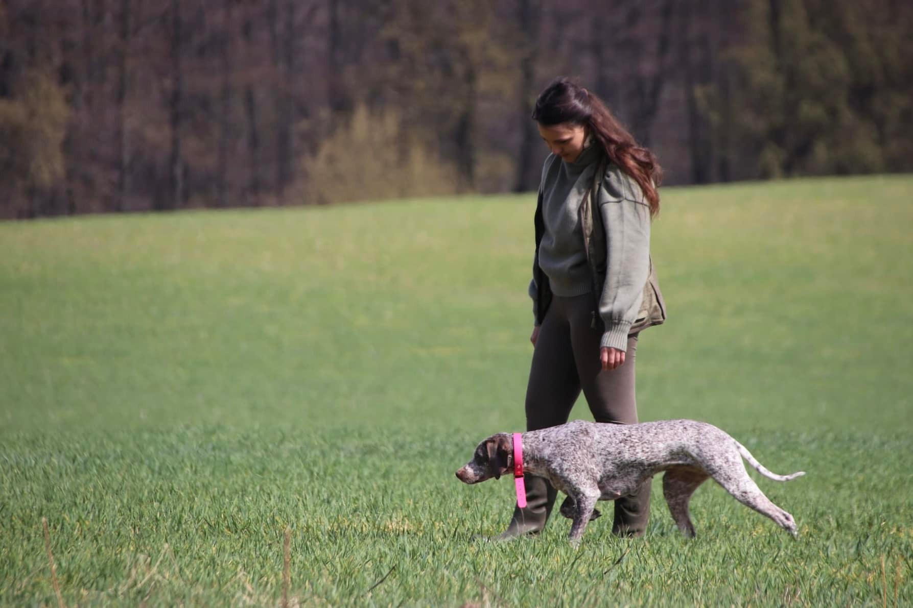 AyCarambaVardarianna