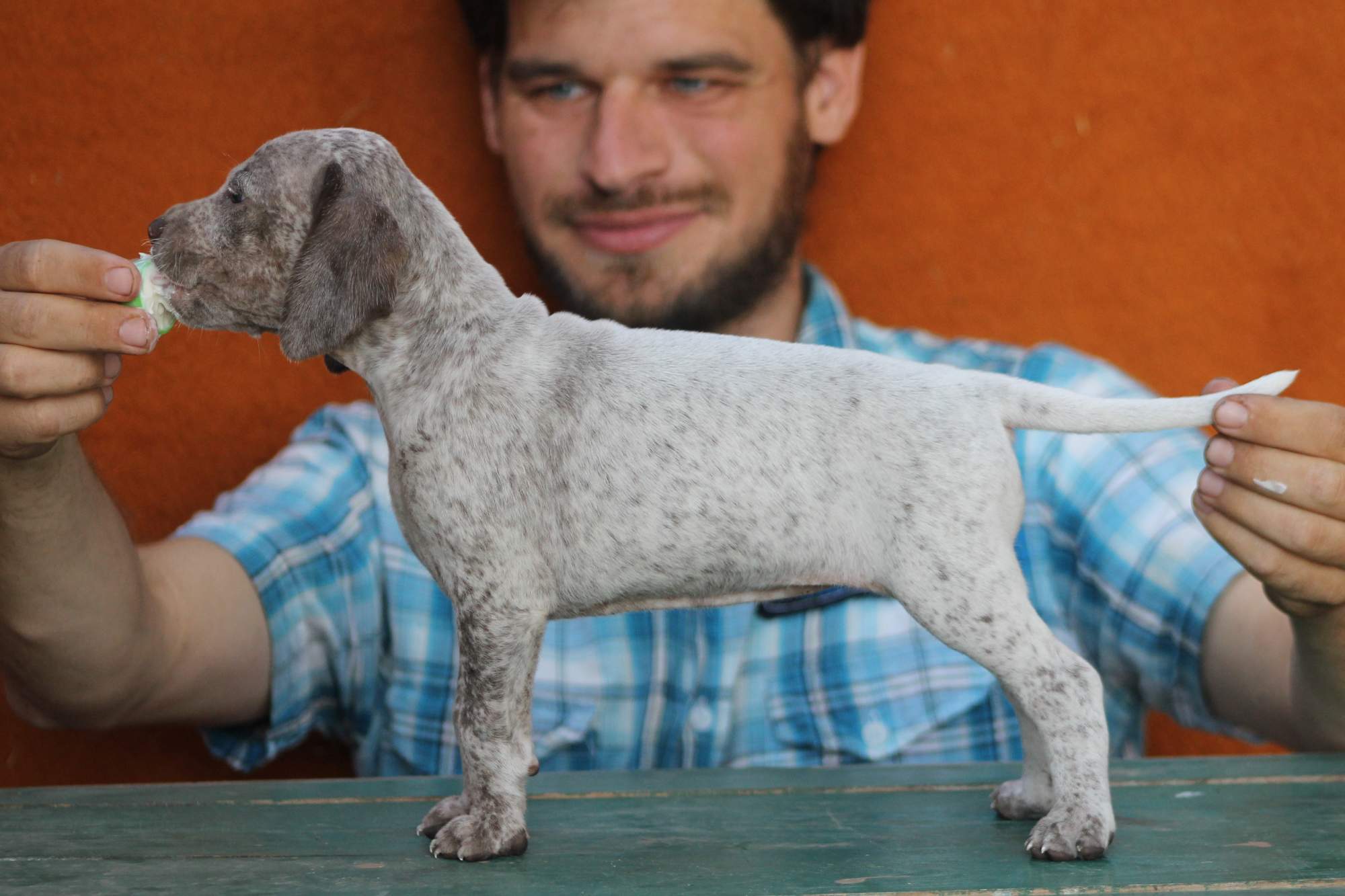 AyCarambaVardarianna