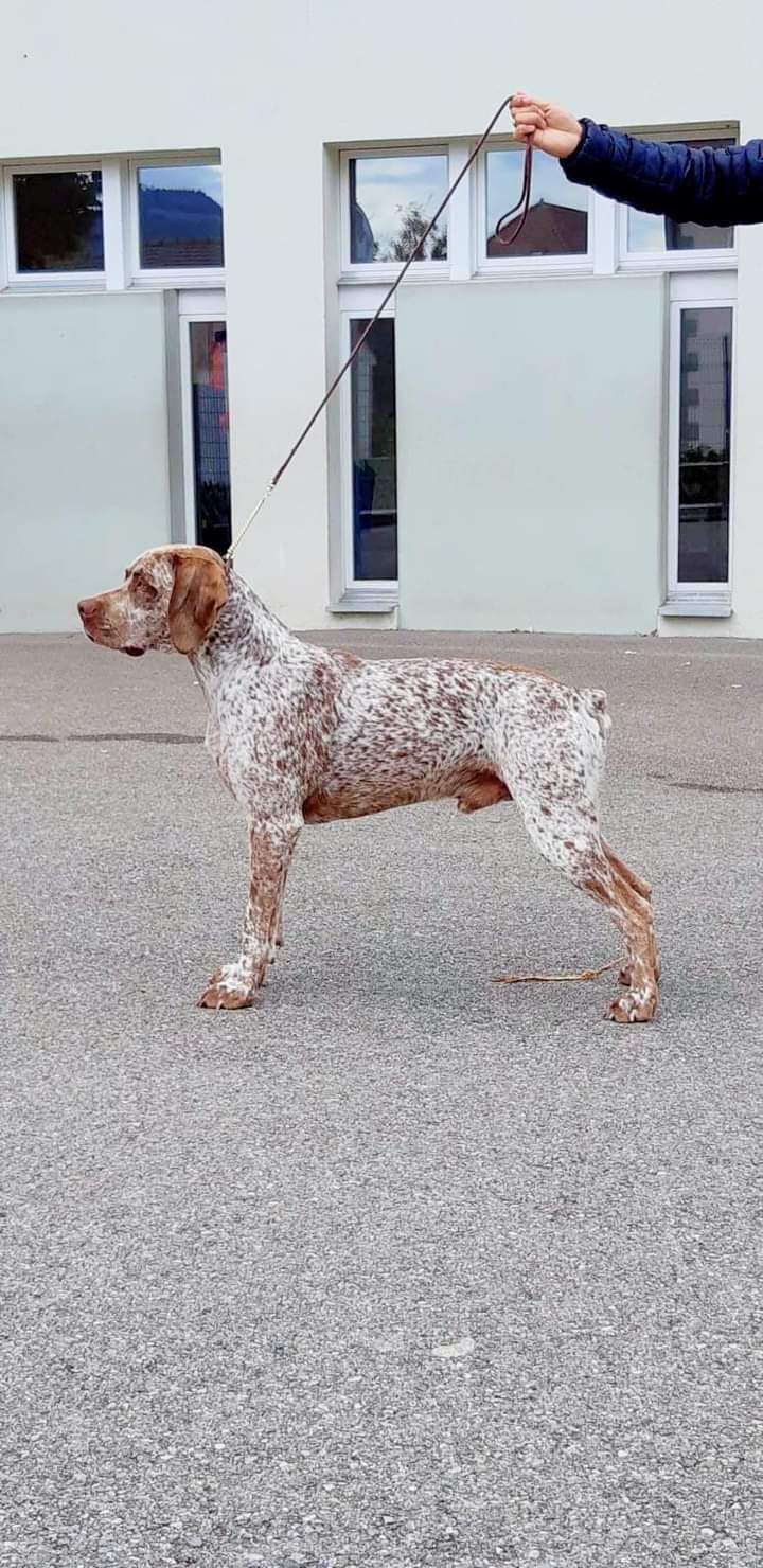 PepperNSaltDesCimesDOr