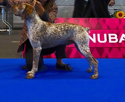 PepperNSaltDesCimesDOr