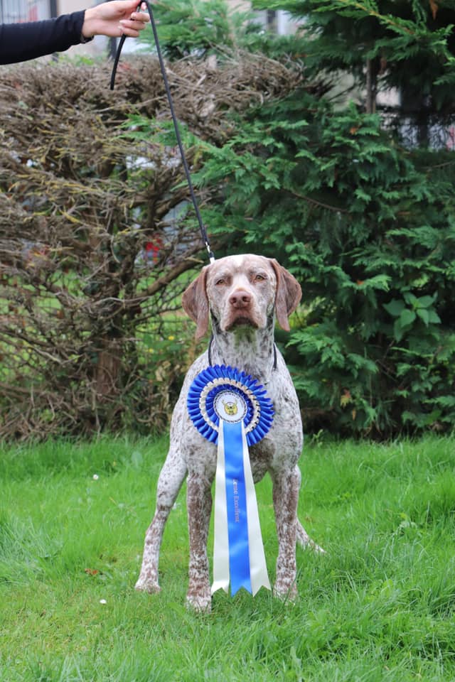 Pyrus du Chene Grive