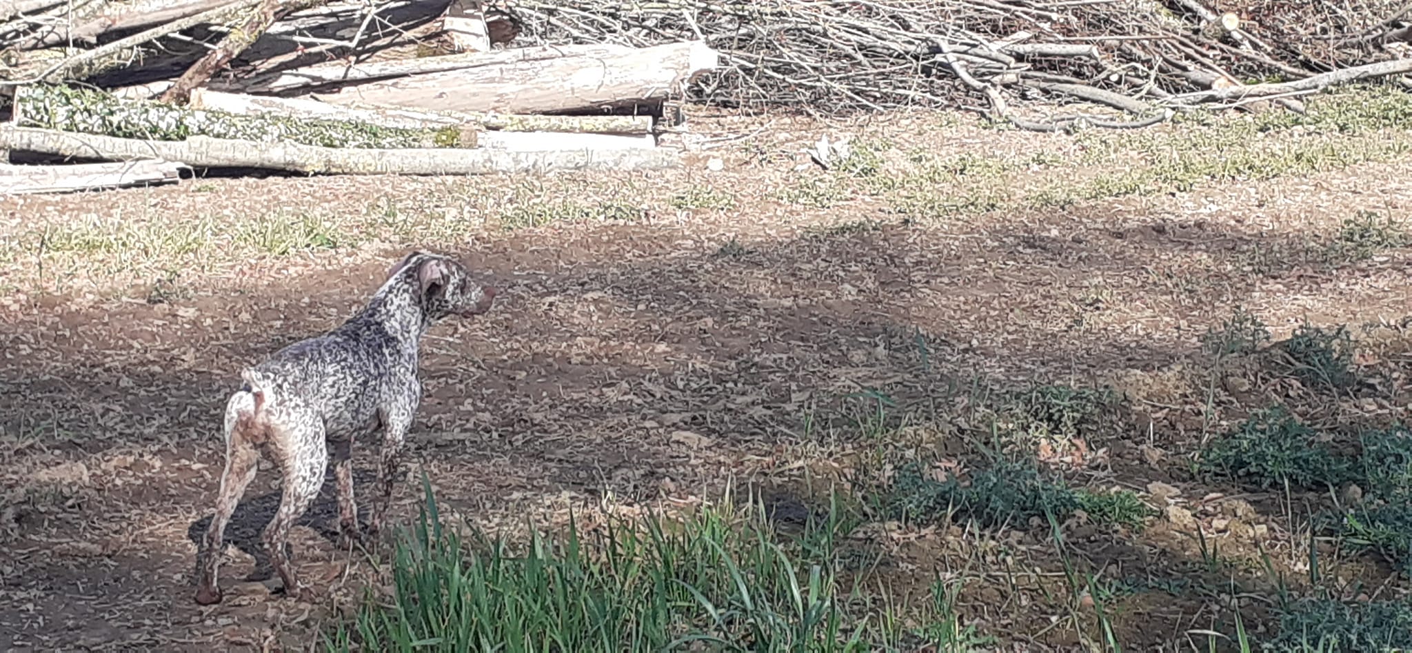 RunaDeLaLandeDeBourberouge