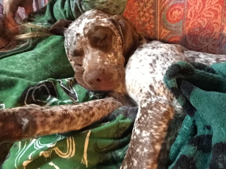 RunaDeLaLandeDeBourberouge