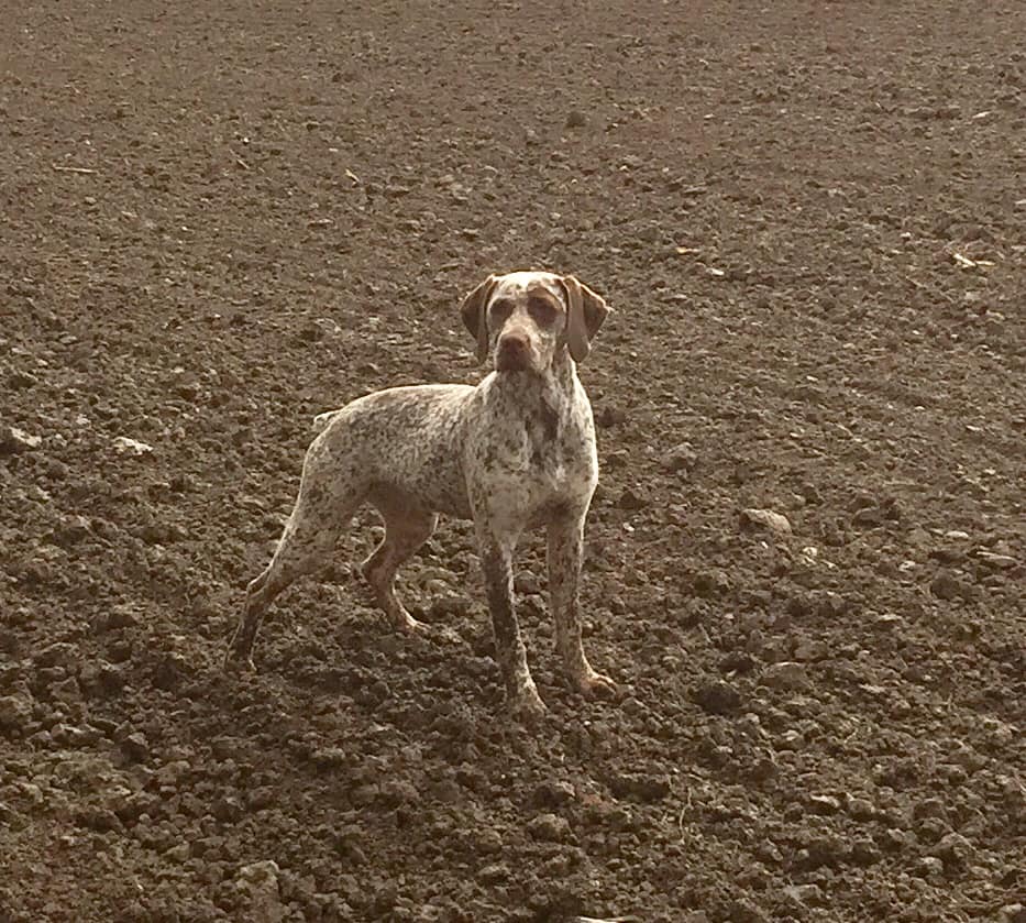 RunaDeLaLandeDeBourberouge