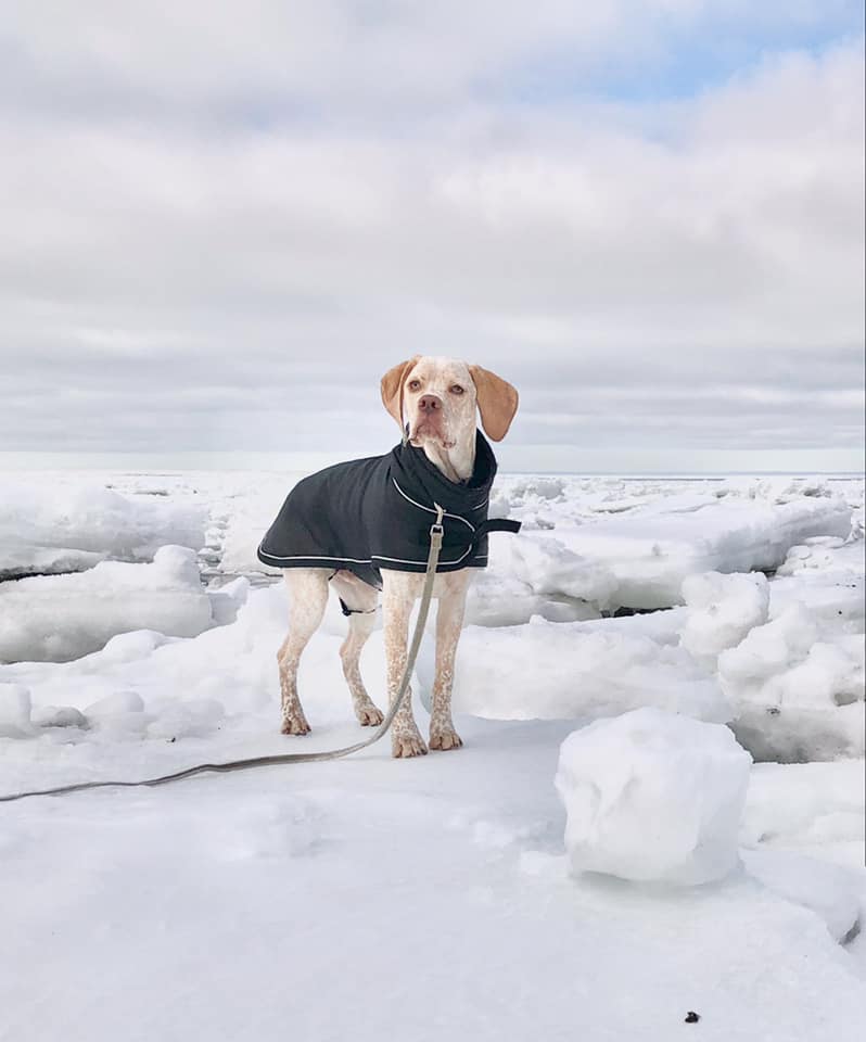 Voyageurs Point Fu-neko