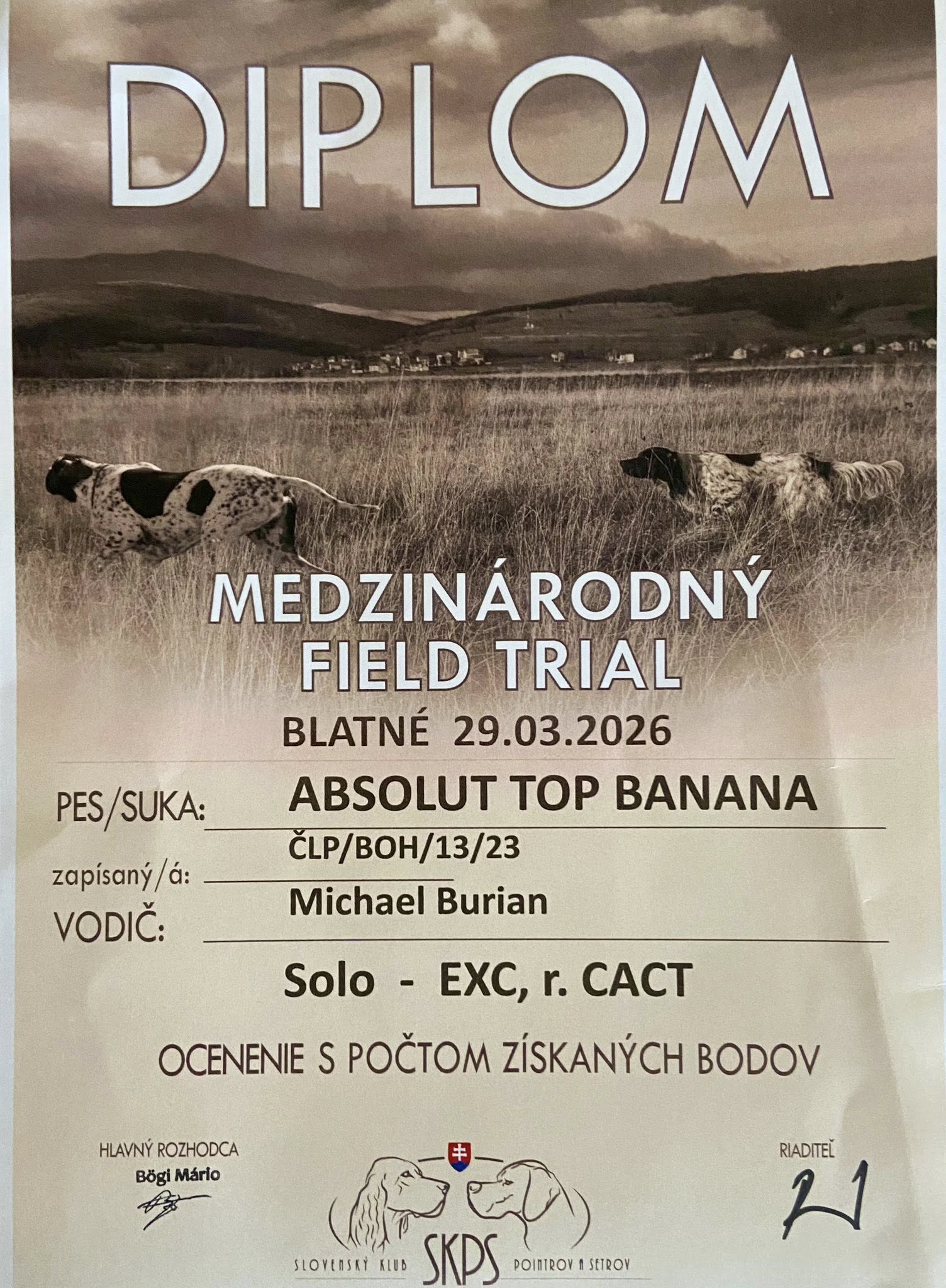 AbsolutTopBanana