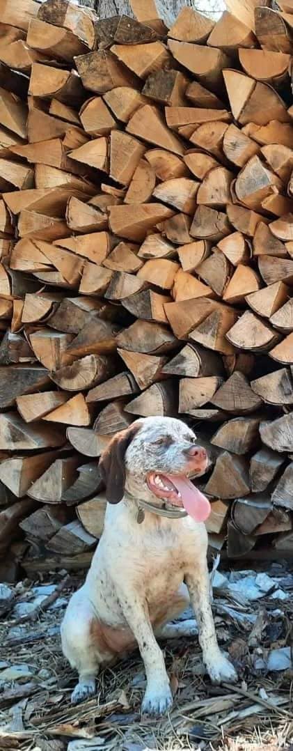 AfroditaBourbonskeStesti