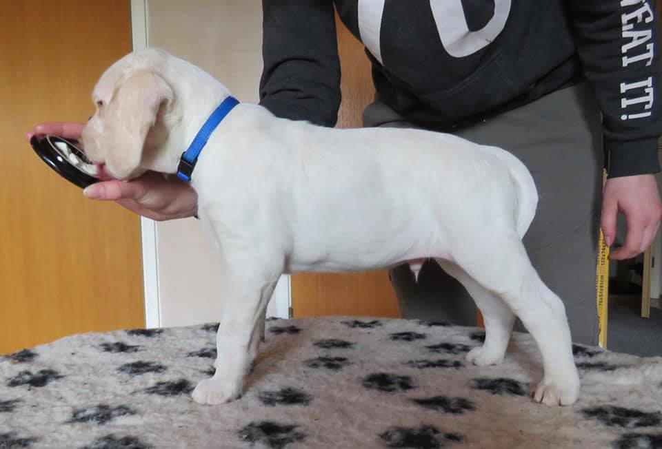 BetsyBeenAgentOrange