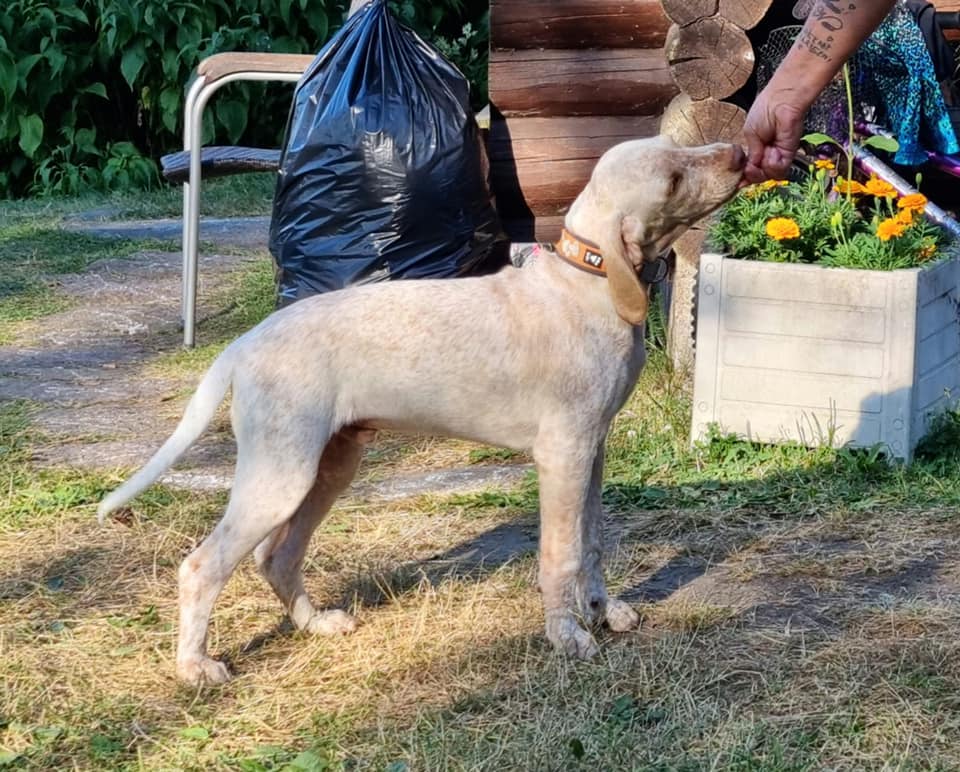 BetsyBeenAllNightRider