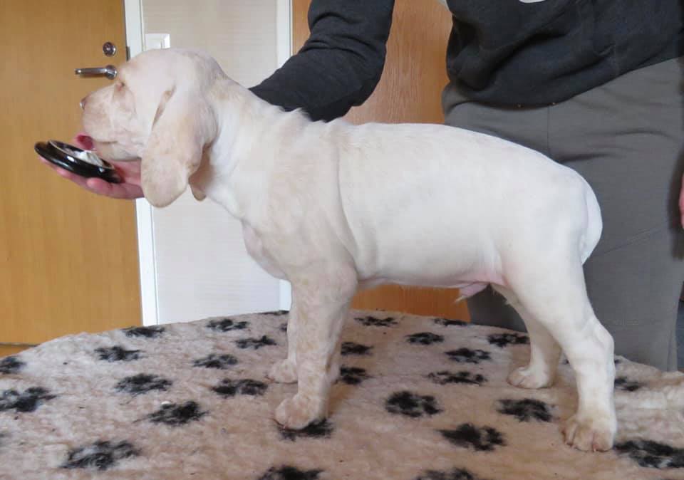 BetsyBeenAllNightRider