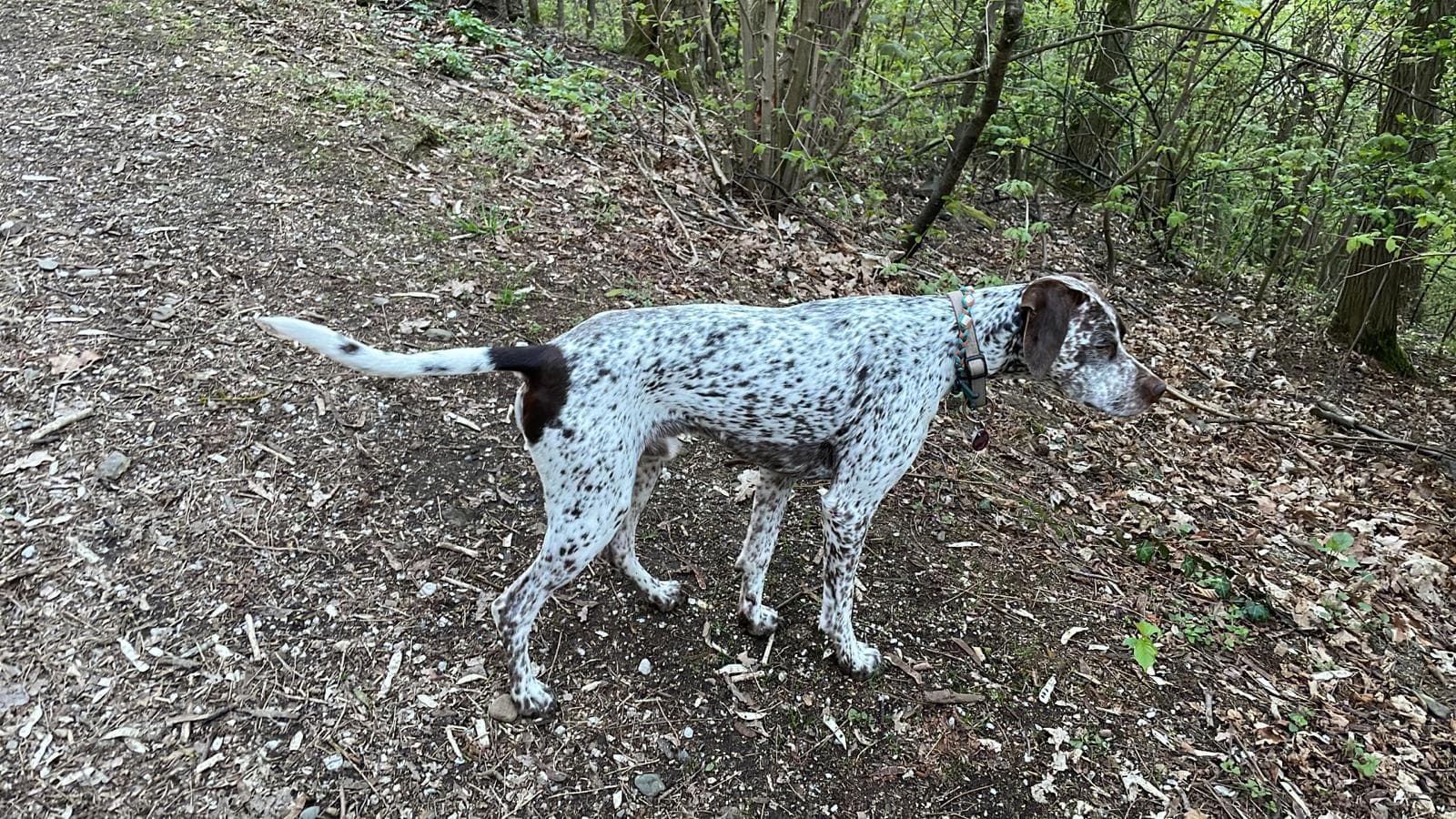 EdgarVomElstermannHof